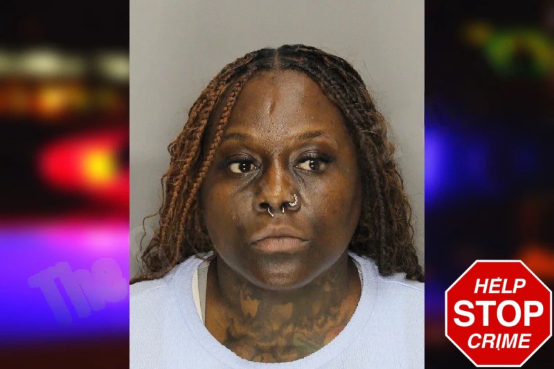 Majorie Dorismond Mugshots