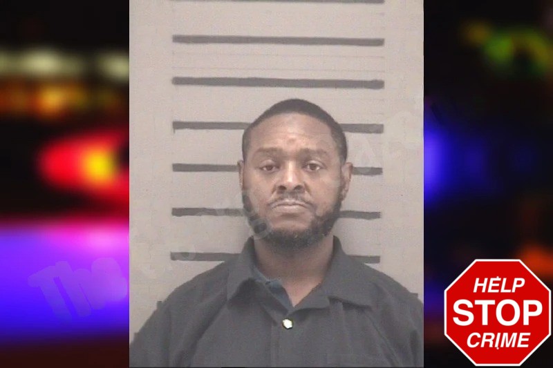 Mallory Walker Mugshots