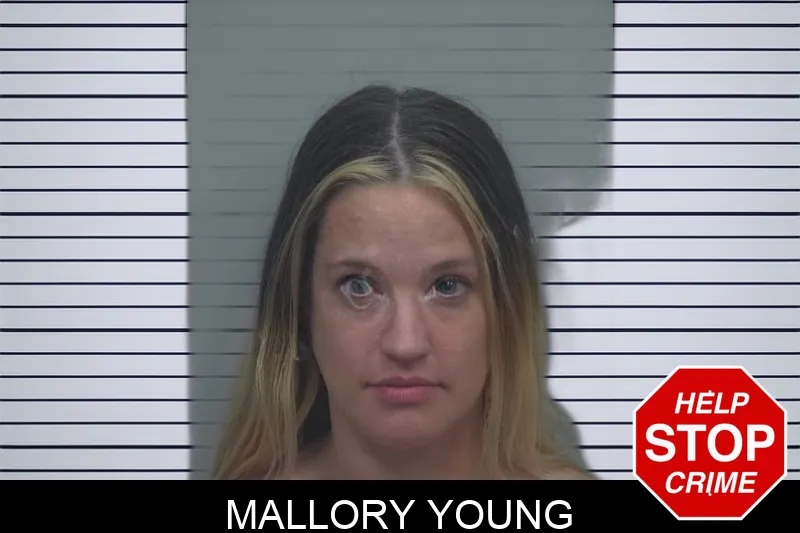 Mallory Young Mugshots