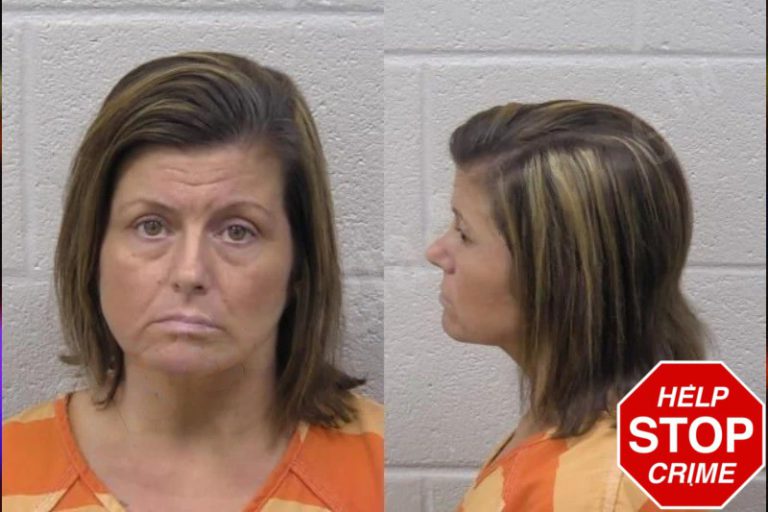 Mandy Bannister mugshot – Paulding County , Georgia Mandy Bannister