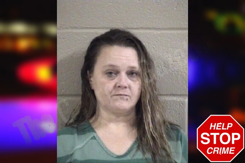 Mandy Calhoun Mugshots