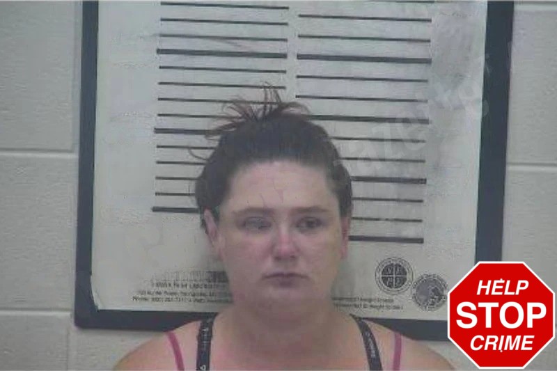 Mandy Toler Mugshots