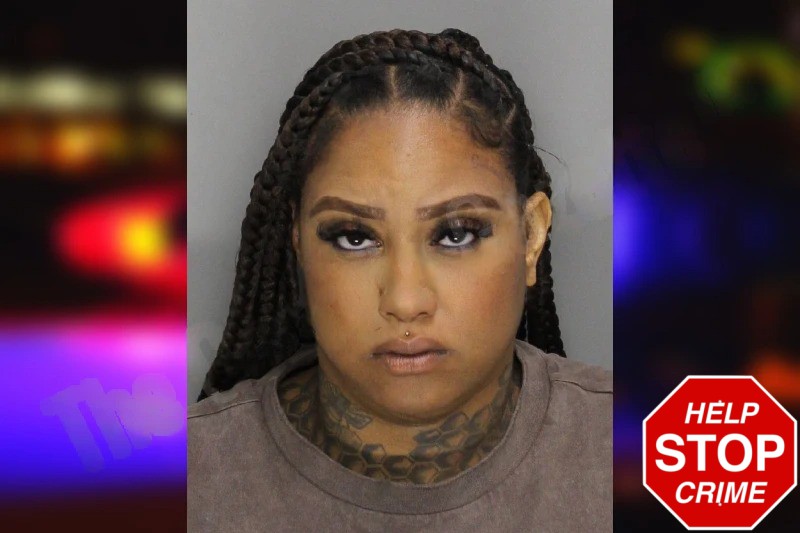 Margaret Price Mugshots