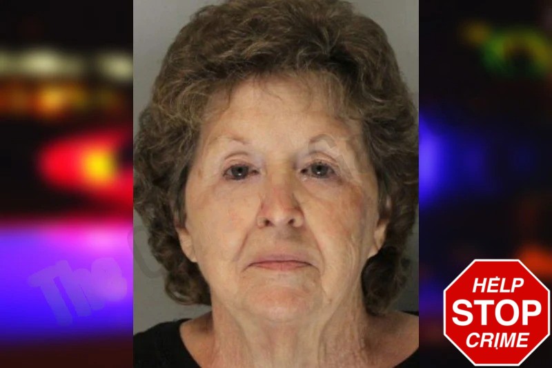 Margie Lewis Mugshots