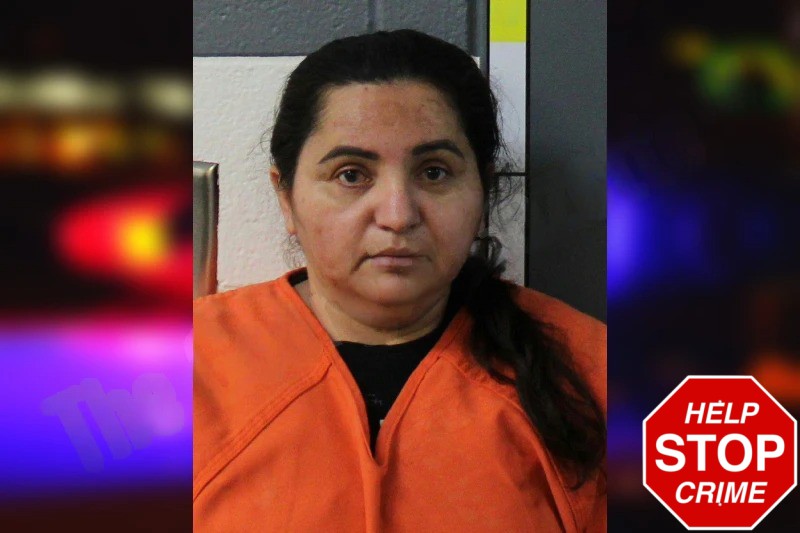 Maria Amaya-Pineda Mugshots