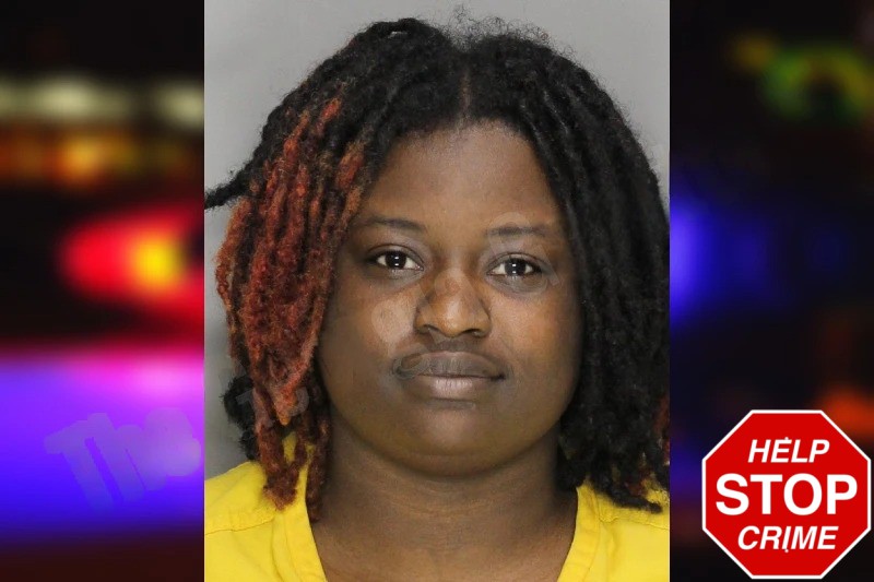 Maria Jenkins Mugshots