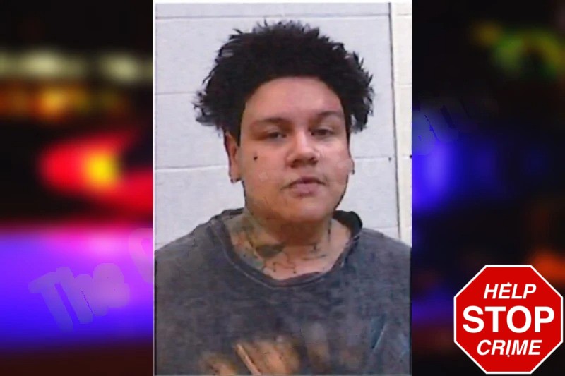 Maria Medina Mugshots