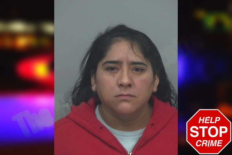 Maria Mejia Perez mugshot – Gwinnett County , Georgia Maria Mejia Perez mugshot