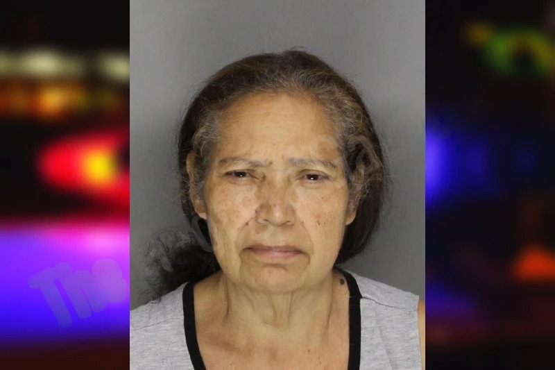 Maria Ponce Mugshots