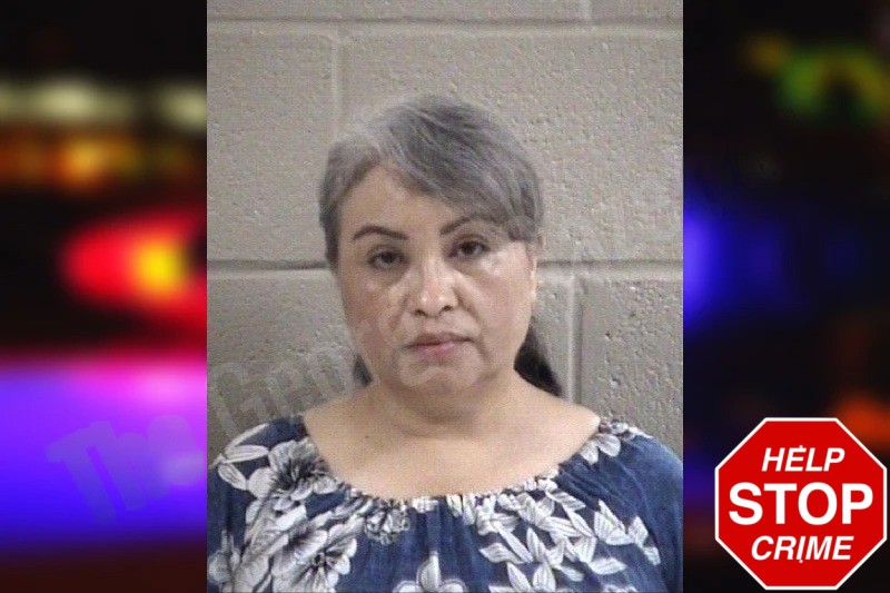 Maria Sanchez-Castro Mugshots