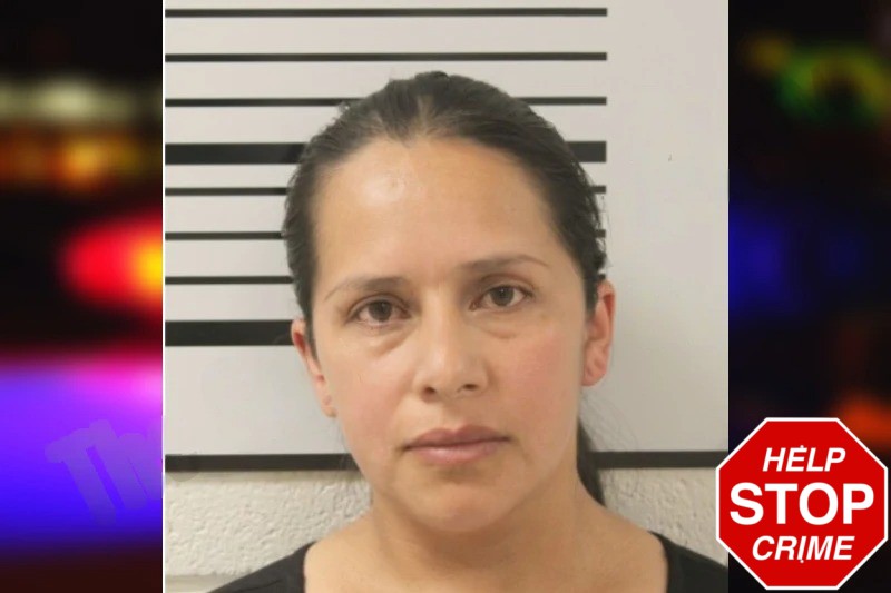 Maria Sanchez Hernandez Mugshots