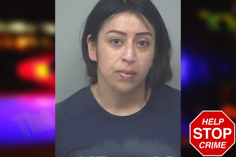 Mariana Ambriz-Zavala mugshot – Gwinnett County , Georgia Mariana Ambriz-Zavala mugshot
