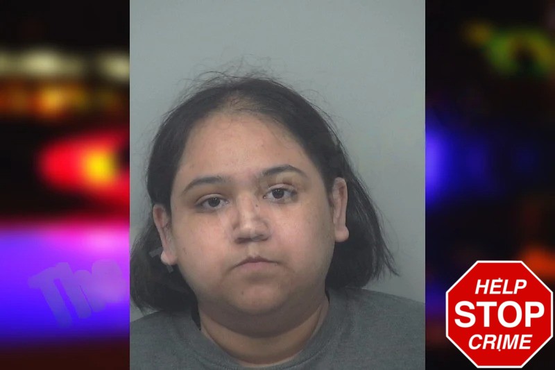 Maribel Martinez Mugshots