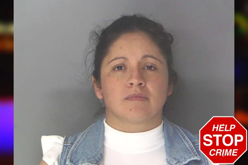 Maricruz Valencia Mugshots