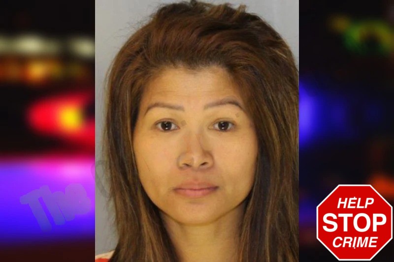 Mariethen Aul mugshot