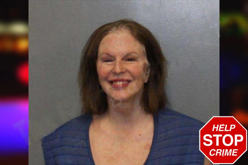 Marilisa Lyden mugshot – White County , Georgia Marilisa Lyden mugshot