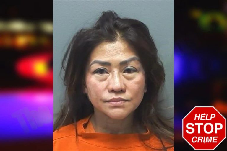 Marivic Llena mugshot – Cherokee County , Georgia Marivic Llena