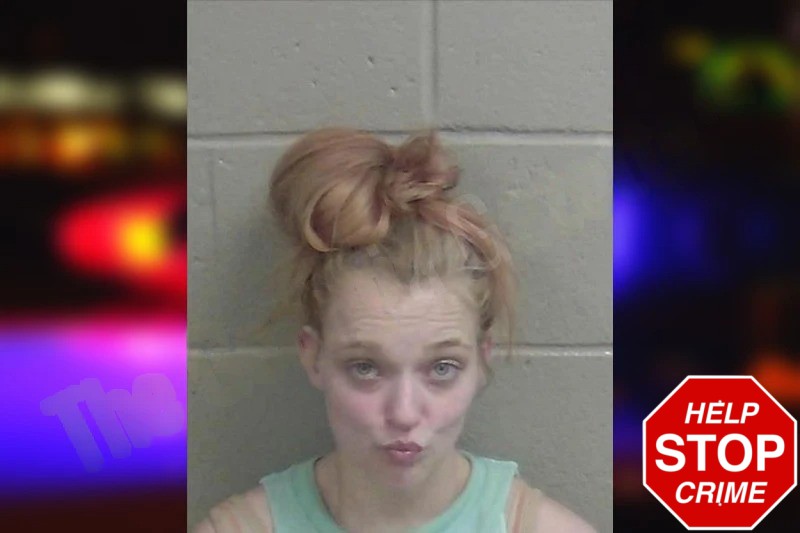 Marlee Laroche Mugshots