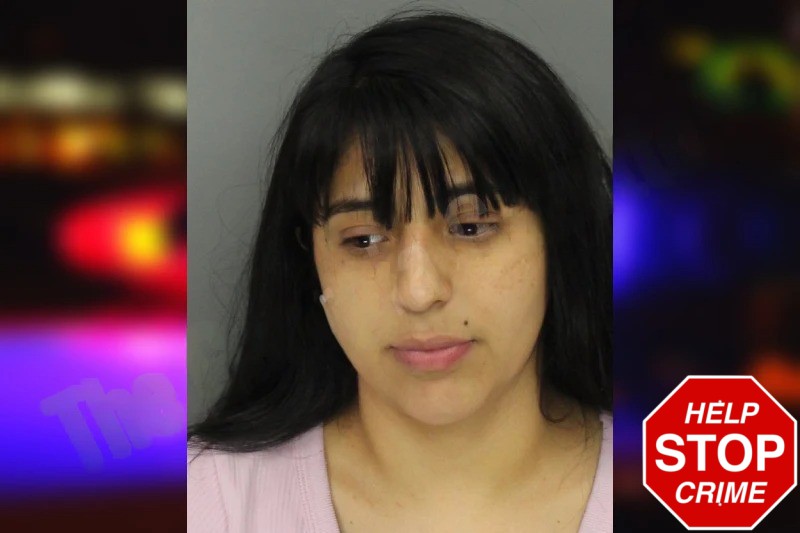 Marlene Gonzalez mugshot – Cobb County , Georgia Marlene Gonzalez mugshot