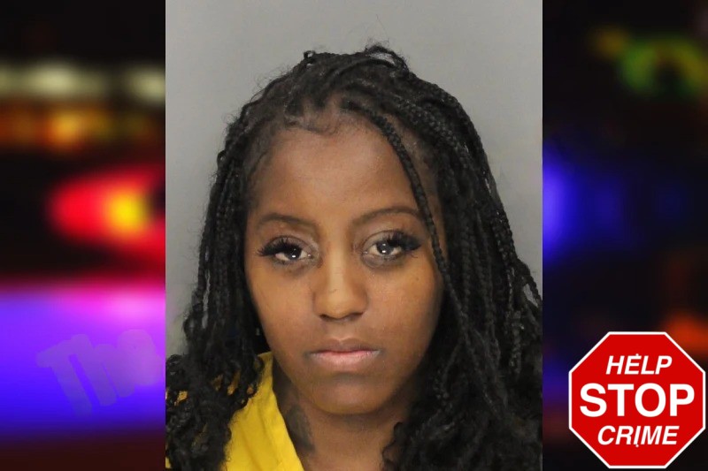 Marquita Lee Mugshots