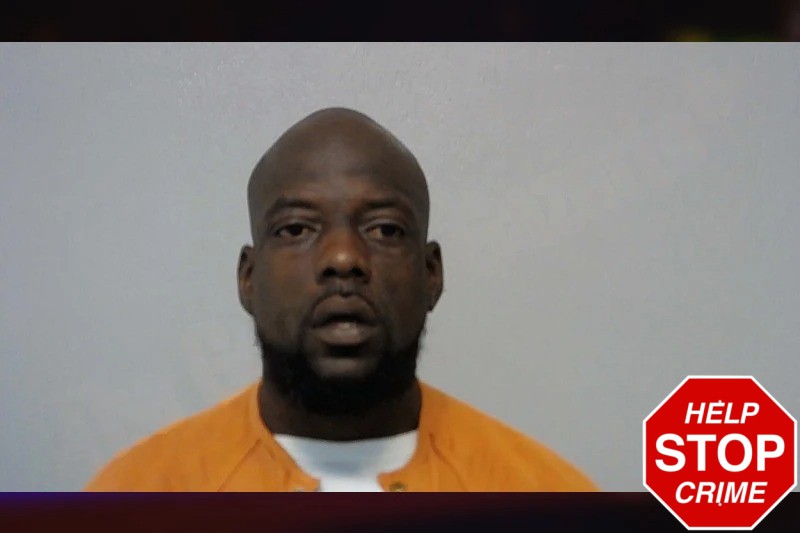 Marquiza Jenkins Mugshots