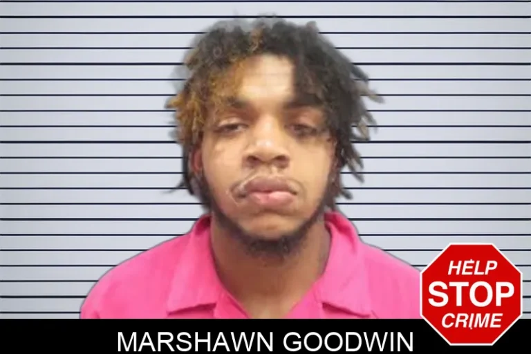 Marshawn Goodwin