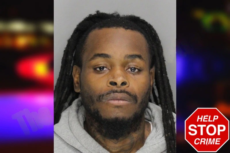 Martavious Jenkins Mugshots