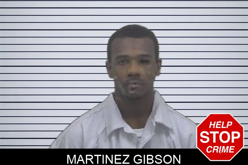 Martinez Gibson mugshot