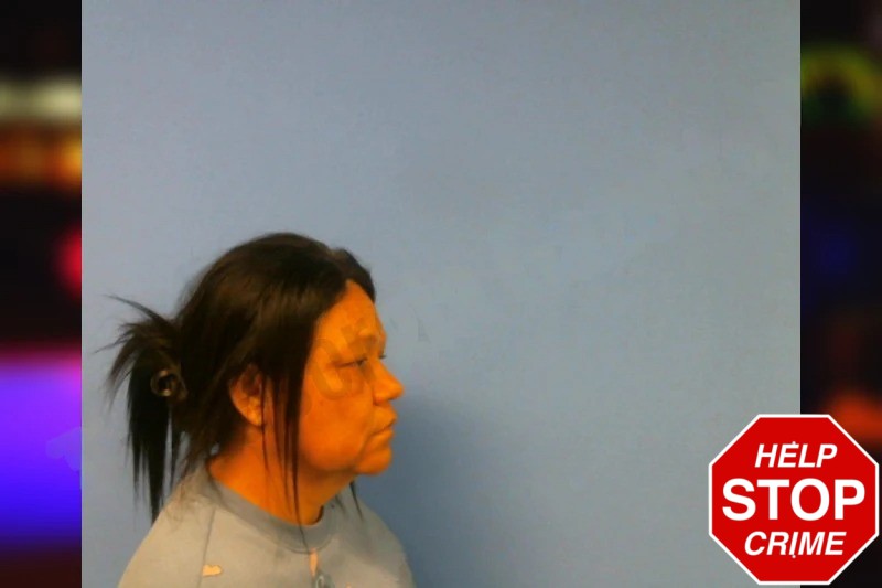 Martiza Rodriguez-Alvarez Mugshots