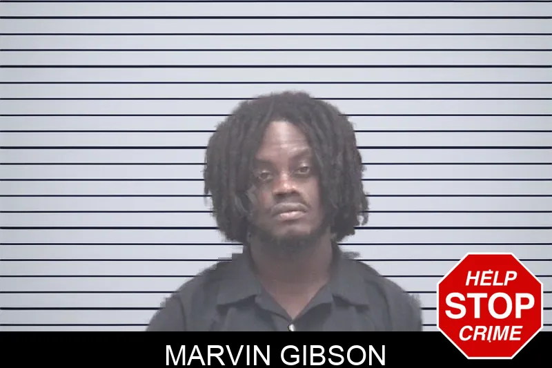 Marvin Gibson Mugshots