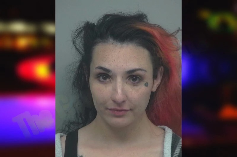 Mary Bowring mugshot – Gwinnett County , Georgia Mary Bowring mugshot