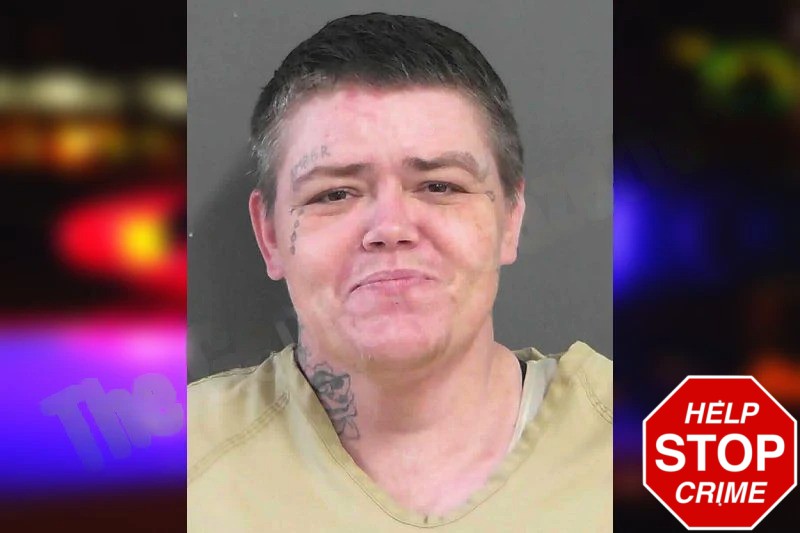 Mary Chaffin Mugshots