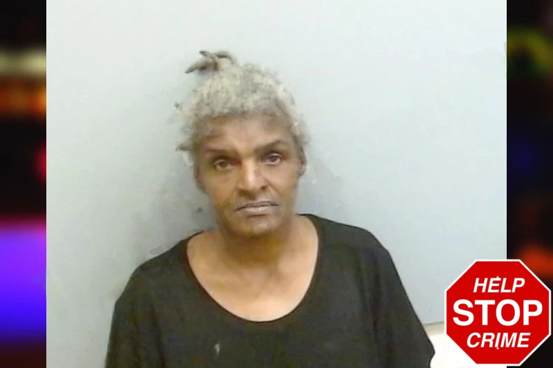 Mary Favors mugshot – Fulton County , Georgia Mary Favors mugshot