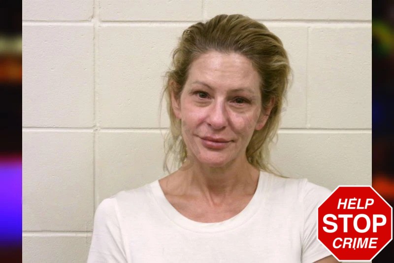 Mary Hodgin Mugshots