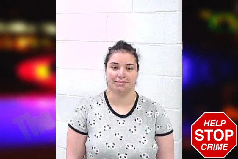 Marzieh Shah Khoureh Mugshots