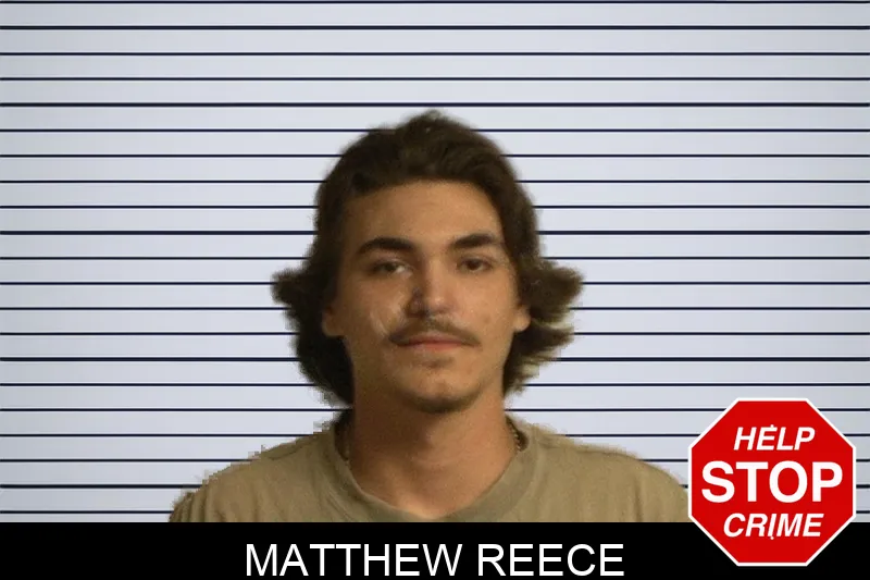 Matthew Reece Mugshots