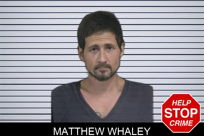 Matthew Whaley Mugshots