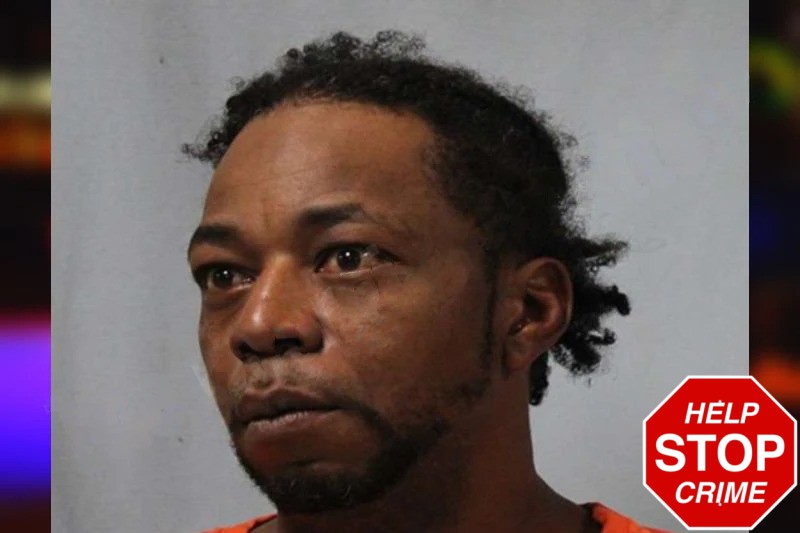 McKenzie Davis Mugshots