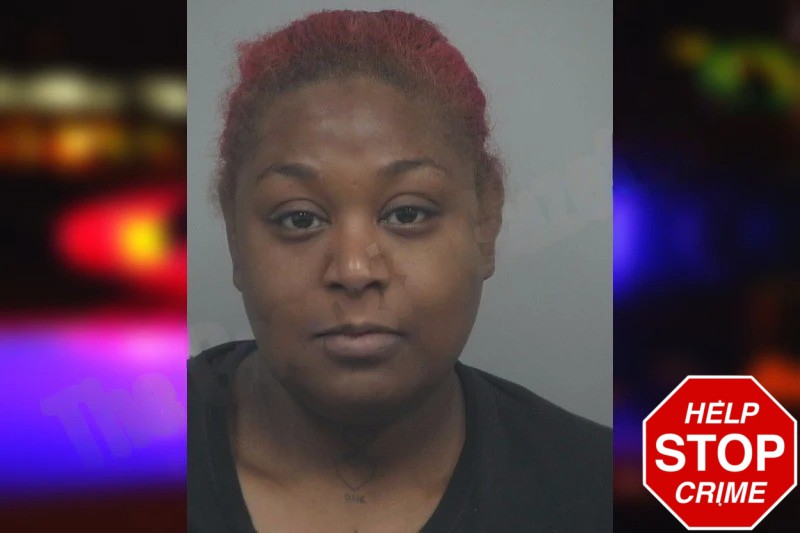 Medina Shepherd Mugshots