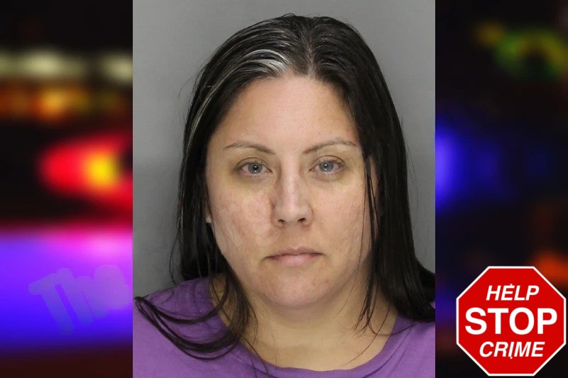 Megan Brennan Mugshots