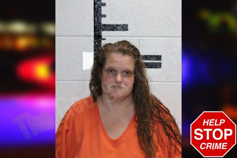 Megan Pierce mugshot – Murray County , Georgia Megan Pierce