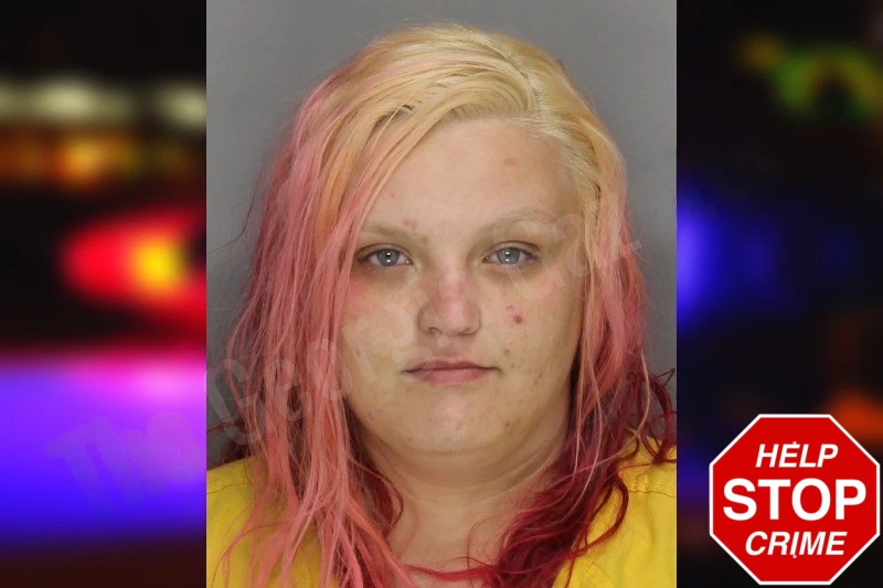 Megan Sharpe mugshot