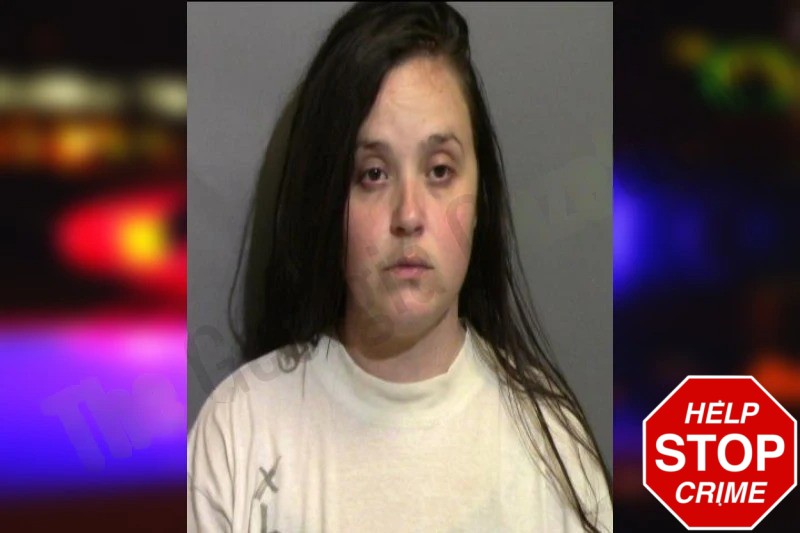 Meghan Westberry Mugshots