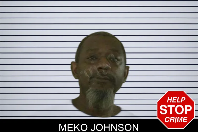 Meko Johnson Mugshots