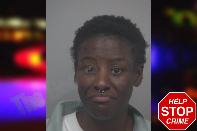 Melanie Gordon Mugshots