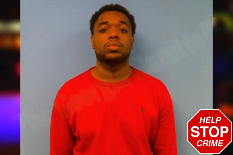 Meldarien Davison Mugshots