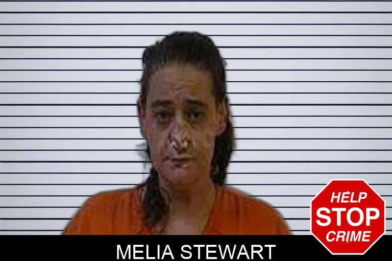 Melia Stewart Mugshots