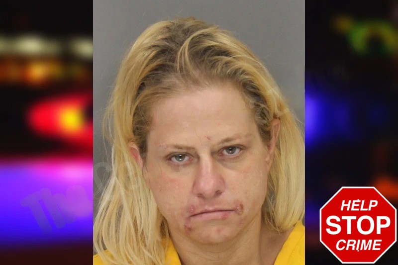 Melinda Powell Mugshots