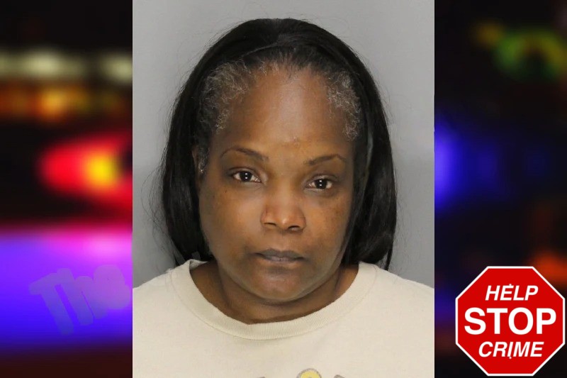 Melinda Seymore Mugshots