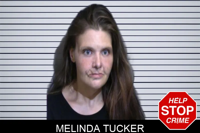 Melinda Tucker Mugshots